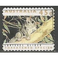Австралия. Летучая белка. 1992г. Mi#1284.