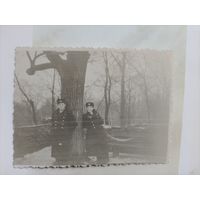 Фото в коллекцию