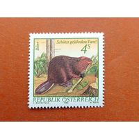 Австрия. Бобёр. ( 1 марка ) 1982 года. 8-10.