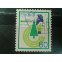 Япония, 1982. Лесовосстановление