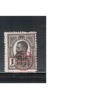Румыния-1918, (Мих.248)  * , Стандарт, Король Карл I ,Надп., (1)