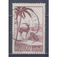 [1903] Французские колонии. Марокко 1939. Фауна.Антилопы.20 фр. Гашеная марка.