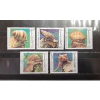 Афганистан. 1999 год. Фауна. улитки, ракушки (1265)