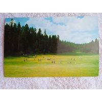 Нью-Мексико. Поле для гольфа Лодже