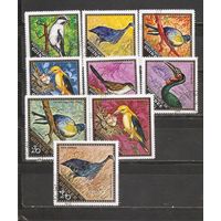 ФФ2 Гвинея 1971 Птицы гаш