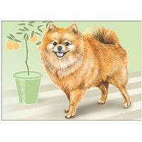 Собака. Из серии "Домашние питомцы". Открытка, глянец