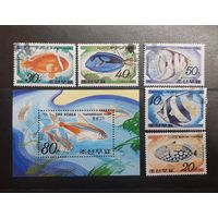 Корея. 1991 год. Фауна. Рыбы. Блок и 5 марок (4)