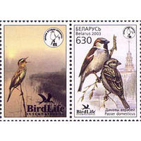 Птица года. Домовой воробей Беларусь 2003 год (506) серия из 1 марки с купоном