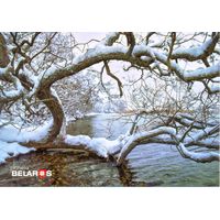 Планета Беларусь, озеро Дрисвяты, тираж 1000 экз.