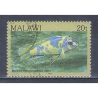 [1874] Малави 1984. Фауна.Рыбы. Гашеная марка.