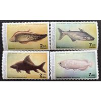 Марки Таиланд 1986 рыбы