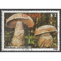 Гайана. Грибы. Паутинник. 1989г. Mi#2498.
