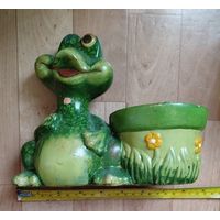 Декоративная жаба (Денежная)