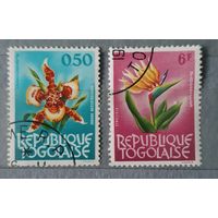 Того цветы 2шт
