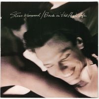 LP Steve Winwood (Traffic, Blind Faith) 'Back in the High Life'