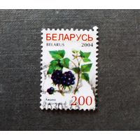 Марка Беларусь 2004 год Ягоды
