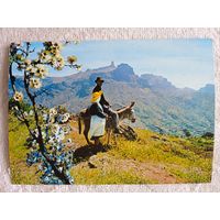 Этнография. Большие Канары, Техеда. Роке Нубло и Бентайга на заднем плане