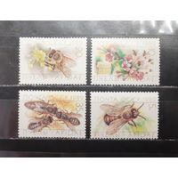 СССР. 1989 год. Фауна. Пчёлы (1272)