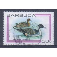 [2440] Барбуда 1980. Фауна.Птицы.Утки. Гашеная марка.