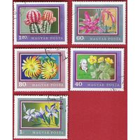 Венгрия 1971 Из серии "Ботанический сад Бухареста"