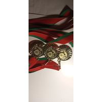 Медаль Представительство НОК РБ Спартакиада АП РБ 2009 Золото