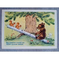 1954. Ушакова. Под ветвями старой ели...
