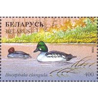 Беларусь 1996 фауна утки
