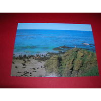 Камчатка Остров Беринга 1983 год чистая