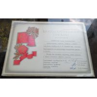 Благодарственное письмо Бобруйск Стройтрест 13