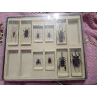 Коллекционные ''Насекомые и их Знакомые'