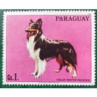 Парагвай 1986. Породы собак. Колли