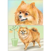 Собака. Из серии "Домашние питомцы". Открытки, глянец