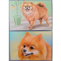 Собака. Из серии "Домашние питомцы". Открытки, глянец