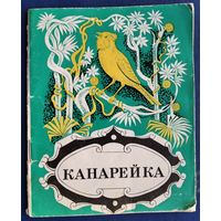 И. Е. Басихес. Канарейка.