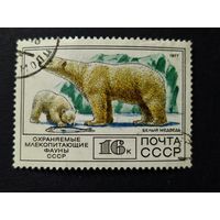 1977 СССР. Фауна. Белый медведь