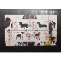 Малави. 2010 год. Фауна. Собаки. Блок (852)