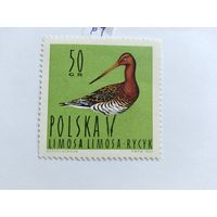 Польша  1964