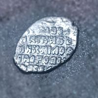 Чешуя 10-5 , хороший рельеф