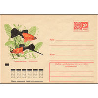 Художественный маркированный конверт СССР N 7831 (22.09.1971) Аквариумные рыбы. Меченосцы
