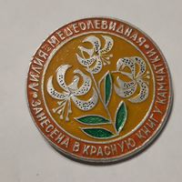 Значок: Лилия медеолевидная*Занесена в Красную книгу Камчатки. СССР.