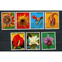 Парагвай - 1973 - Цветы - [Mi. 2525-2531] - полная серия - 7 марок. MNH.  (Лот 50JQ)-T3P34