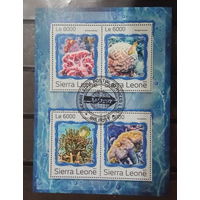 ЛИСТ ФАУНА рыбы морские обитатели  СТО