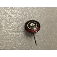 Футбольный клуб Пахтакор Ташкент