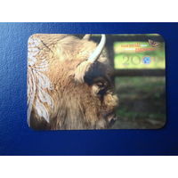 Календарик 2009 г.  Зубр.