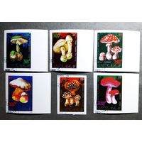 Марки Вьетнам 1991 год Грибы