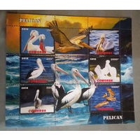 СЕРИЯ Блоков птицы   фауна  MNH