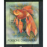 Республика Мадагаскар - 1994 - Рыбки - (пятно на клее) - [Mi. bl. 263] - 1 блок. MNH.  (Лот 51JQ)-T3P34