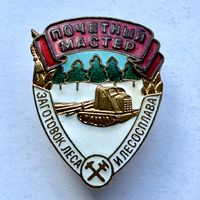 Знак ПОЧЁТНЫЙ МАСТЕР ЗАГОТОВОК ЛЕСА и ЛЕСОСПЛАВА СССР ОТЛИЧНЫЙ