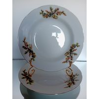 Japan. Япония.Тарелка. Костяной Фарфор. Кедровая ветка. Шишки. Диаметр 23 см