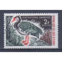 [2440] Кот д'Ивуар 1966. Фауна.Птицы.Гусь. Гашеная марка.